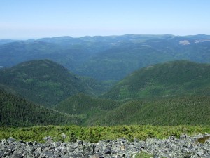 mont-Albert_web
