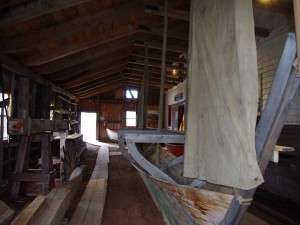 IMGP1366