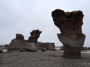 IMG_0667_web
