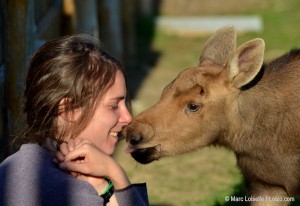 You can't get much closer than this! ©Marc Loiselle / Centre de vacances Ferme 5 Étoiles