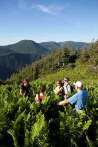 Guided hike at Chic-Chocs Mountain Lodge ©Mathieu Dupuis