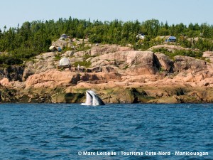 Camping de Mer et Monde Ecotours, Les Bergeronnes