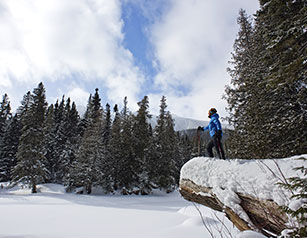 Snowshoeing, Skiing and Other Winter Sports