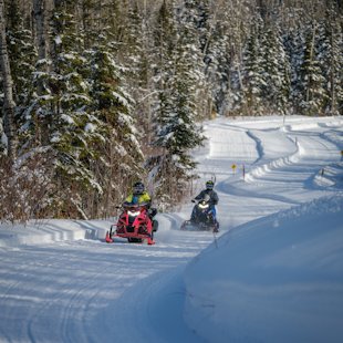 Snowmobilers on a trail in Bas-Saint-Laurent