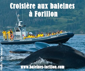 Bateau de Croisières Baie de Gaspé et baleine à Forillon