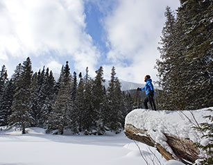 Raquette, ski et sports de glisse