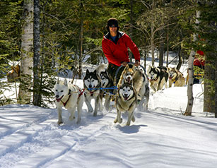 Dogsledding