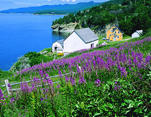 Parc national Forillon