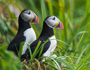 Mingan Archipelago National Park Reserve