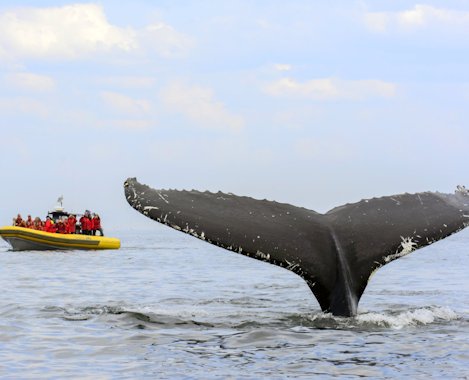 La route des Baleines