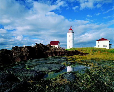 The Lighthouse Trail