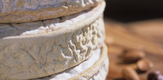 Fromages des Îles de la Madeleine