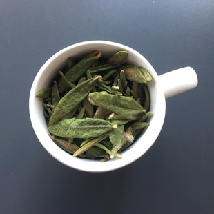 Labrador tea