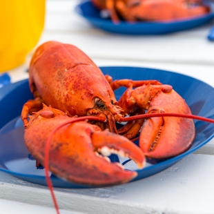 Lobster from the Îles de la Madeleine