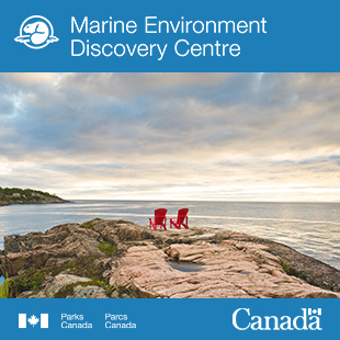 Marine Environment Discovery Centre
