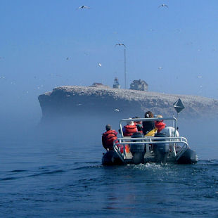 Zodiac excursion in the Îles de la Madeleine