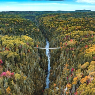 Footbridge suspended over the canyon