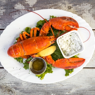 Plate of lobster