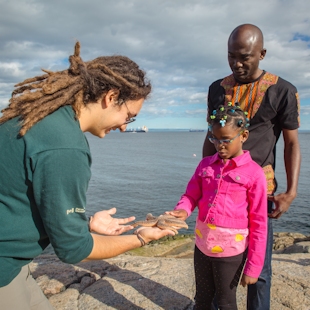 Family looking at a starfish