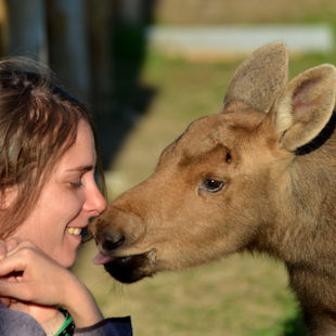 Woman and white-tailed deer