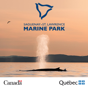 Saguenay–St. Lawrence Marine Park