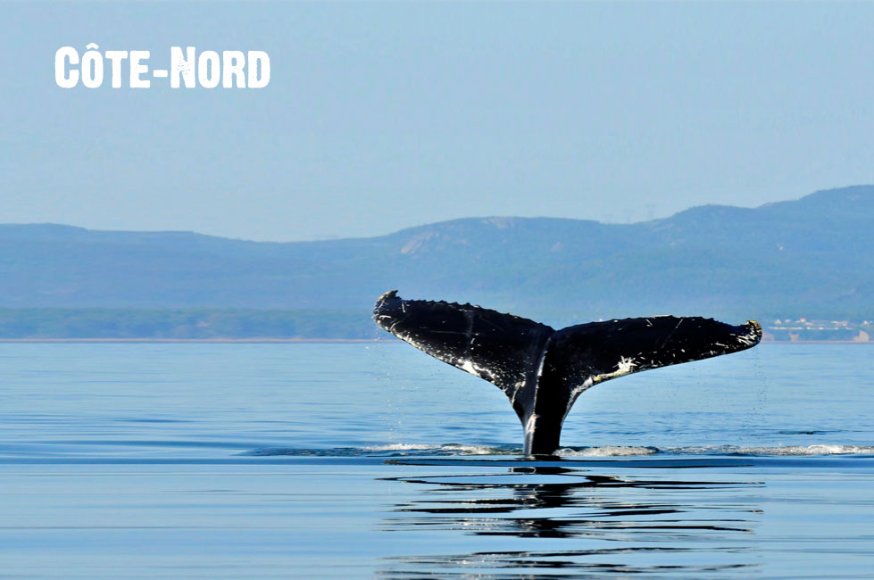 Côte-Nord
