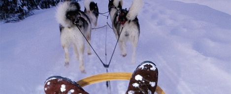 Gaspésie