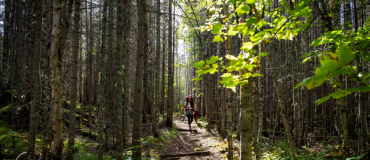 Outdoor Activities to Explore the Forests of Eastern Québec