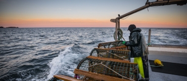 The St. Lawrence: What to Discover