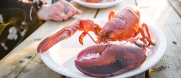 Au large des Îles de la Madeleine... une mer de saveurs!