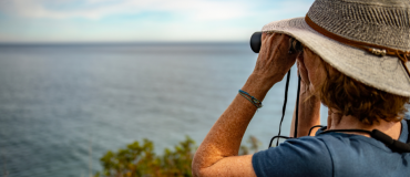 Les oiseaux du Québec maritime : les meilleurs lieux d’observation