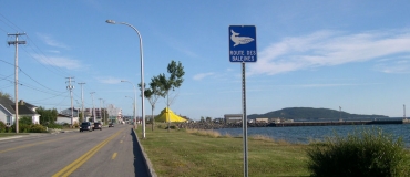 La route des Baleines au Québec