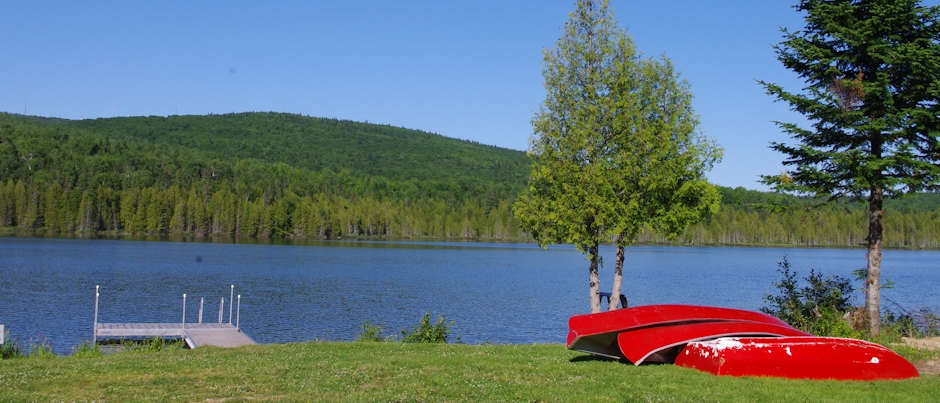 Éric Gagné: For Love of Land and Forest