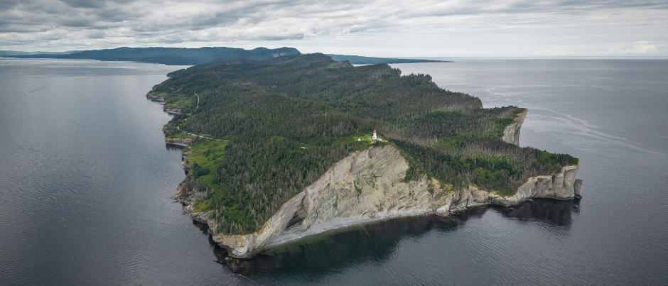 4 faits étonnants sur le parc national Forillon