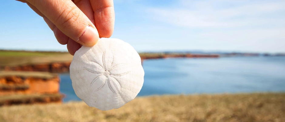 Îles de la Madeleine - Photo Credit: Sophie Bourque Natural Treasures to See in Eastern Québec