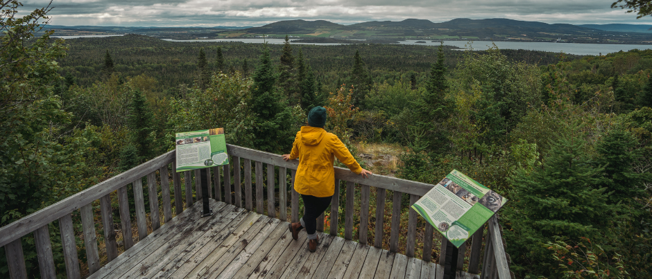 5 bonnes raisons de visiter la vallée de la Matapédia