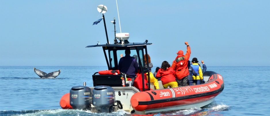 Each Essipit cruise is a personalized adventure aboard a 12-passenger zodiac - Photo Credit: Croisières Essipit Vacationing in Côte-Nord: Whale Watching by Zodiac with Croisières Essipit