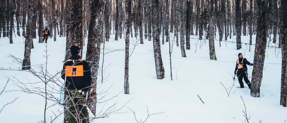 Maple Sugar Season at Domaine Acer