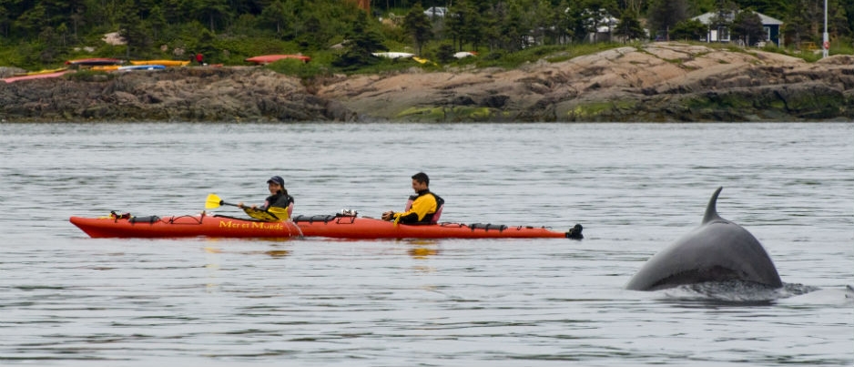 Best Sea Kayaking in Côte-Nord - Photo Credit: Marc Loiselle / Tourisme Côte-Nord - Manicouagan Best Sea Kayaking in Côte-Nord