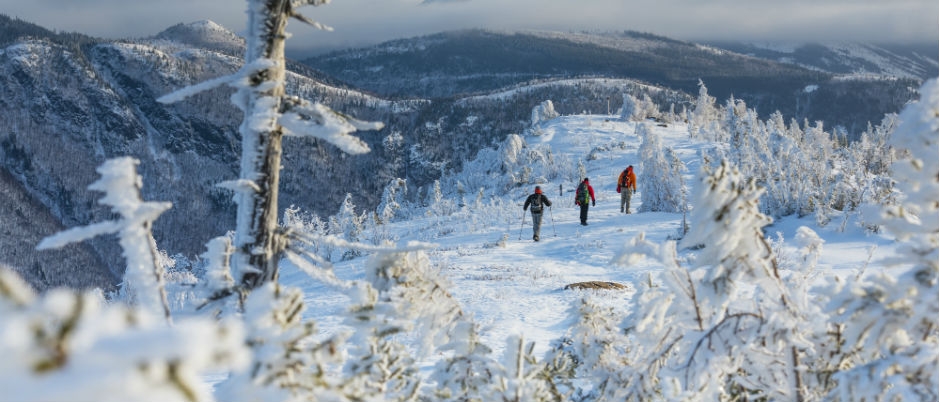 Parc national de la Gaspésie - Photo Credit: Steve Deschênes/Tourisme Gaspésie What to Do in Gaspésie in the Winter