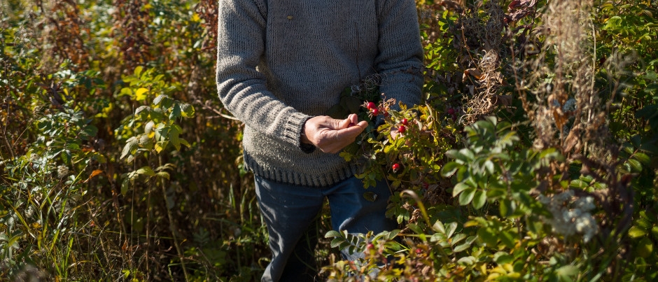 Savour the Unique Flavours of Côte-Nord