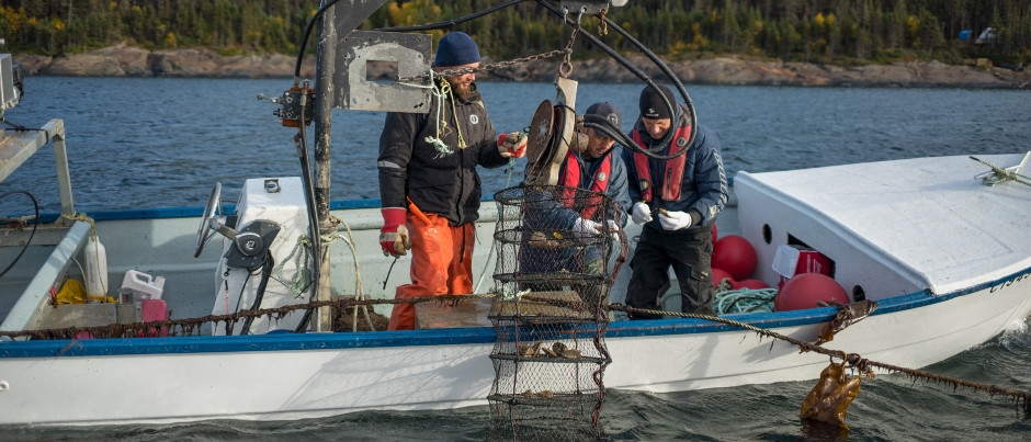 Sea Fishing in Eastern Québec