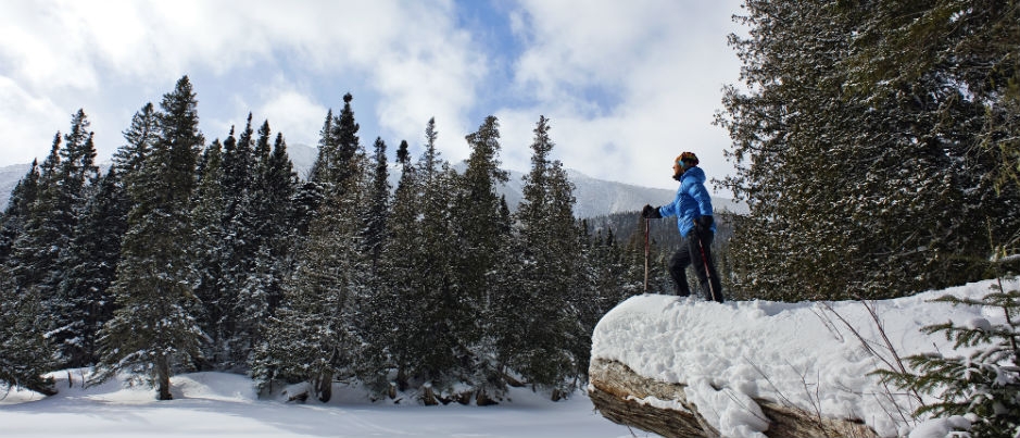 Winter Sports in the Maritime Regions of Québec: Snowshoeing, Cross-Country Skiing and Backcountry Skiing