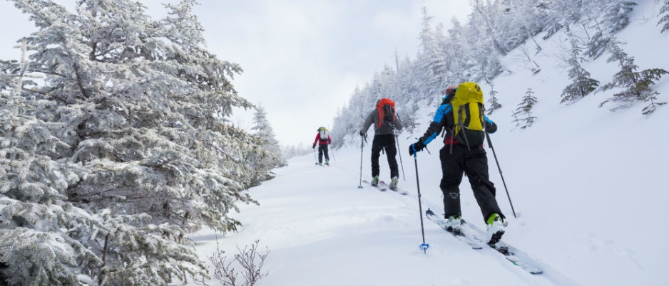 Parc national de la Gaspésie - Crédit photo : Taylor Burk Souvenirs d’hiver dans les régions maritimes du Québec
