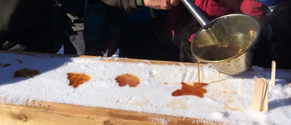 Une explosion de saveurs sucrées dans les régions du Québec maritime!