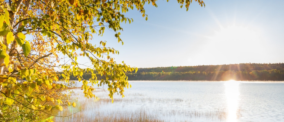 La saison des couleurs dans l’est du Québec : ouvrez grand les yeux!