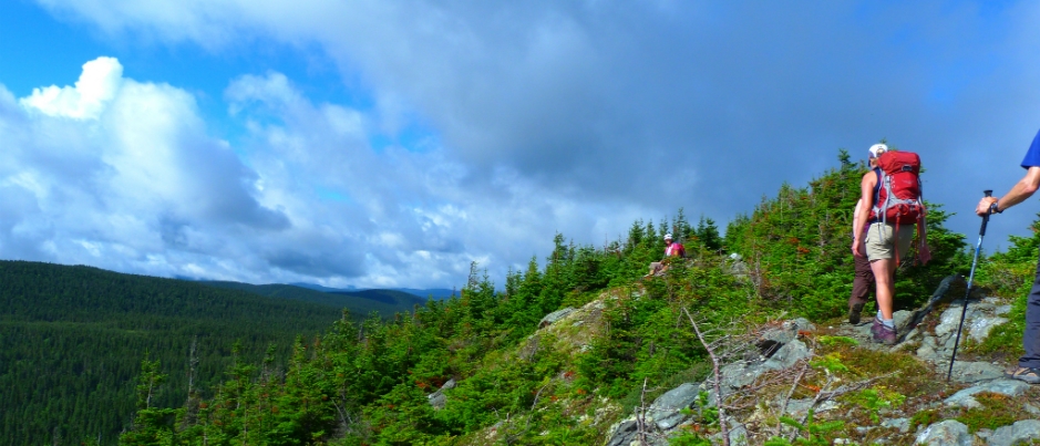 Sentier international des Appalaches (SIA) : de la longue randonnée de calibre mondial