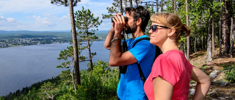 La faune en vedette dans les parcs nationaux du Québec maritime