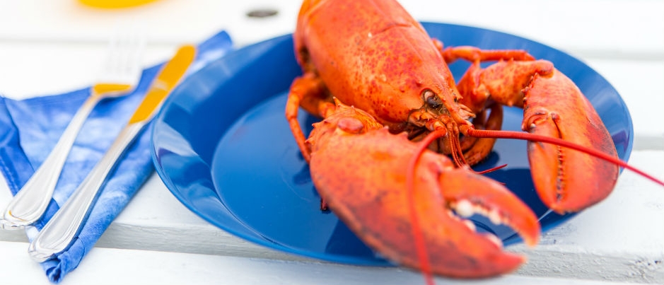 Whatever way you cook it, lobster is always delicious! - Photo Credit: Mathieu Dupuis Regional Flavours: Lobster