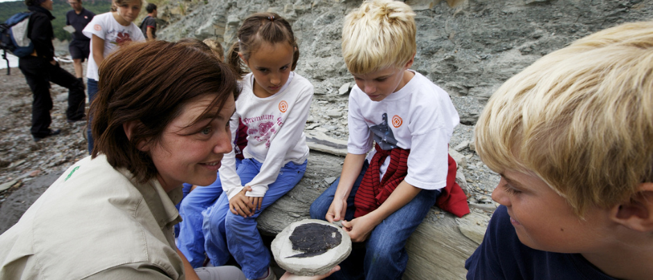 Parc national de Miguasha: When Fish Ruled the World